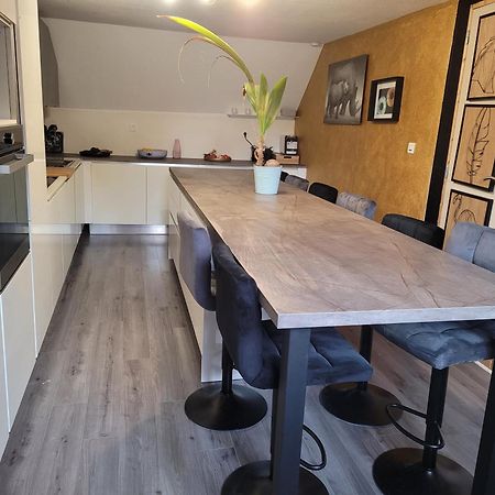 Hotel Splend'Or,10 Pers,Luxueux Dorlisheim Exteriér fotografie